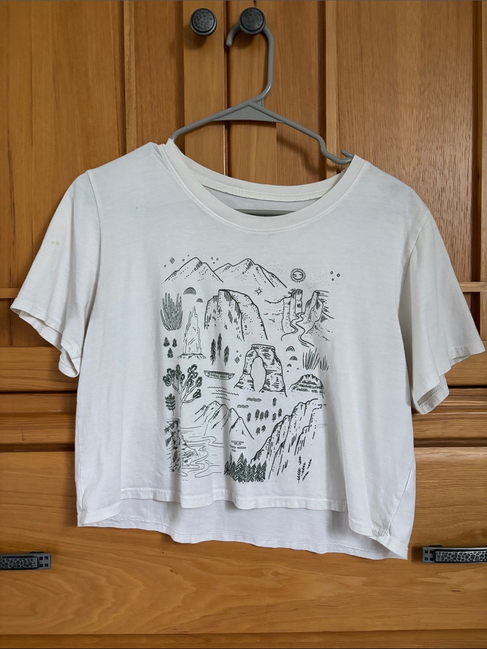 Parks Project White Scenic Graphic Crop Tee